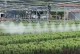 Protezione delle colture e irrigazione